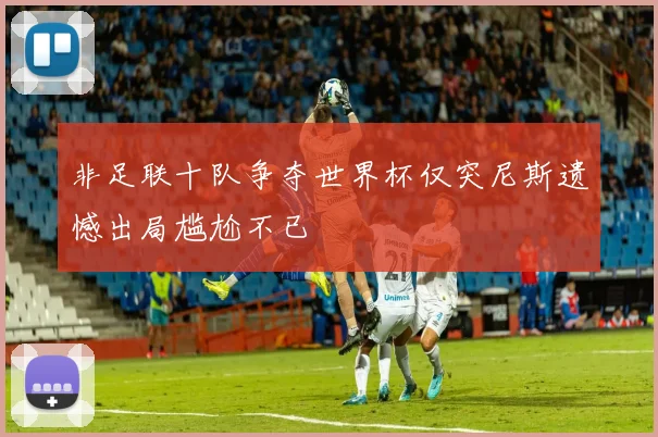 非足联十队争夺世界杯仅突尼斯遗憾出局尴尬不已