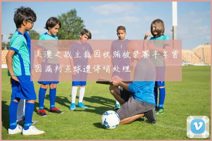 美澳之战主裁因收贿被禁赛半年曾因漏判点球遭停哨处理